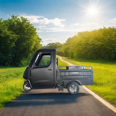 家庭用3輪電動自転車とペディキャビルのための任意の1000/1200/2000/3000W電動三輪車