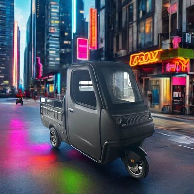 家庭用3輪電動自転車とペディキャビルのための任意の1000/1200/2000/3000W電動三輪車