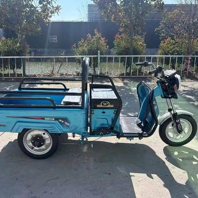 重荷貨物輸送 3.75-12 タイヤサイズ 600kg 1000w 3輪電気バイク