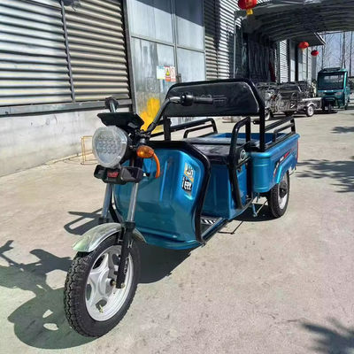 重荷貨物輸送 3.75-12 タイヤサイズ 600kg 1000w 3輪電気バイク
