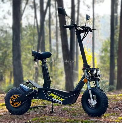 オフロード 2000W 3000W モビリティ エレクトリックスクーター COC EEC ブッシュレスモーター 10インチハブモーター エレクトリックスクーター CE付きバイク