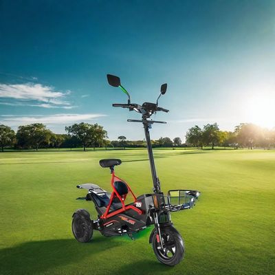 電気スクーター ブラシレスモーターと鉄筋 48V500W*2 リチウム電池