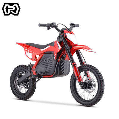 1200Wモーターと48v20ahリチウム電池 50KM 1412タイヤ
