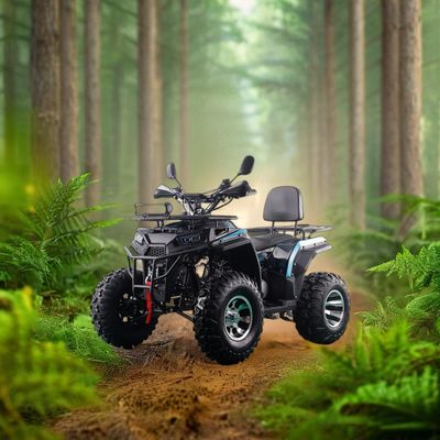 200cc ATV 250cc ATV アダルト ATV クアッドバイク チェーンドライブと1000W電気プルスタート