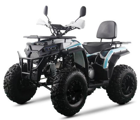 200cc ATV 250cc ATV アダルト ATV クアッドバイク チェーンドライブと1000W電気プルスタート