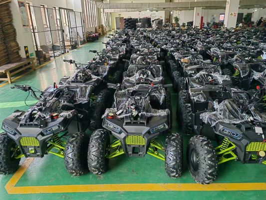 200cc ATV 250cc ATV アダルト ATV クアッドバイク チェーンドライブと1000W電気プルスタート