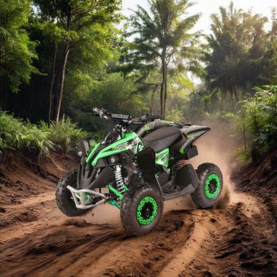 車輪サイズ R 14*5.00-6 49cc AUTOMATIC ミニ電気スタート ATV CE 承認のクアッドバイク