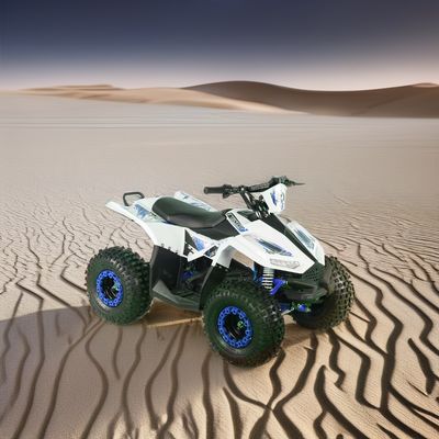 2024 ティーンエイジャー 4x4 1000W 48V 1200W 電動シャフト駆動クワッドバイク 電動クワッドATV