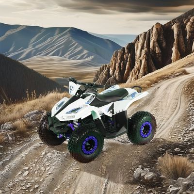 2024 ティーンエイジャー 4x4 1000W 48V 1200W 電動シャフト駆動クワッドバイク 電動クワッドATV