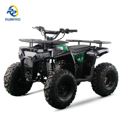 2WD オールテレプレン ダブル 4ホイール ビーチバギー 100-200kg ペイロード容量 完璧