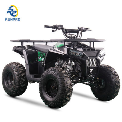 2WD オールテレプレン ダブル 4ホイール ビーチバギー 100-200kg ペイロード容量 完璧