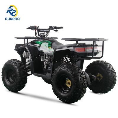 2WD オールテレプレン ダブル 4ホイール ビーチバギー 100-200kg ペイロード容量 完璧