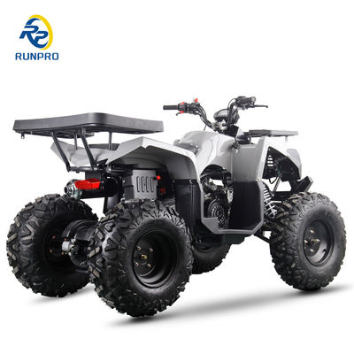 ガソリン/ディーゼル ビーチバギー チェーンドライブ 4 ホイール 4 ストーク 四駆 自転車 200cc/300cc 大人用