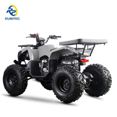 ガソリン/ディーゼル ビーチバギー チェーンドライブ 4 ホイール 4 ストーク 四駆 自転車 200cc/300cc 大人用