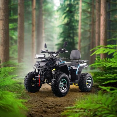 オフロードガス 4ホイラー 4*4 2WD ATV アダルトクワッドバイク 4 ストックエンジン 燃料ガス / ディーゼル