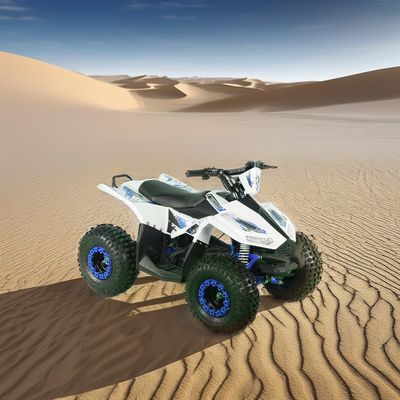 電動UTV 4ホイールレーシングクワッドオフロード モーターサイクル キッズ用クワッド 2024 1200W 48V12ah