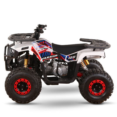 CE認定ガソリン駆動 キッズクワッドバイク 110cc 125cc ATV 四輪車