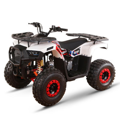 CE認定ガソリン駆動 キッズクワッドバイク 110cc 125cc ATV 四輪車