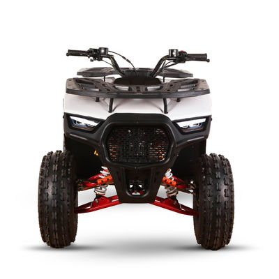 CE認定ガソリン駆動 キッズクワッドバイク 110cc 125cc ATV 四輪車