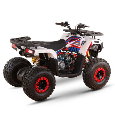 CE認定ガソリン駆動 キッズクワッドバイク 110cc 125cc ATV 四輪車