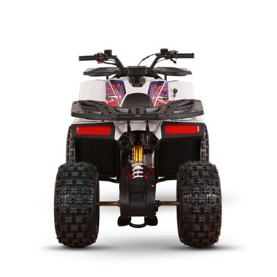 CE認定ガソリン駆動 キッズクワッドバイク 110cc 125cc ATV 四輪車