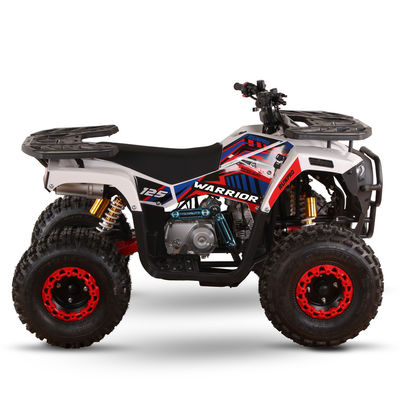 CE認定ガソリン駆動 キッズクワッドバイク 110cc 125cc ATV 四輪車