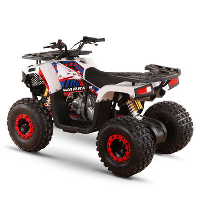 125cc 大人のためのガソリン駆動ATV 直接 高級能力 ≥25° 排気量 125cc