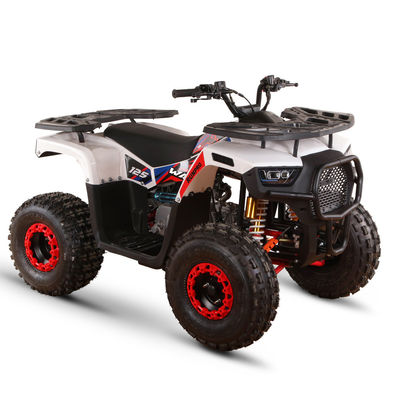 125cc 大人のためのガソリン駆動ATV 直接 高級能力 ≥25° 排気量 125cc