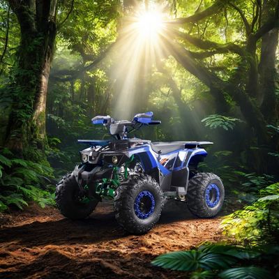 2WD運転タイプと興味深い機能を持つ強力な125ccガソリン燃料ATVクワッド