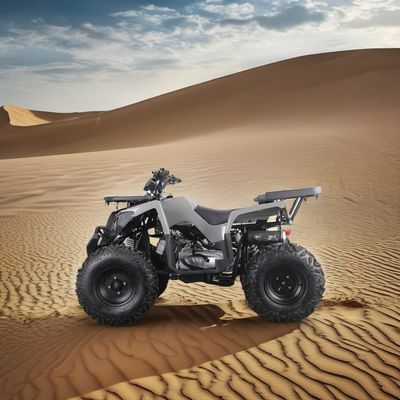 大人のためのパワフルな200ccガスのATV 最大トルク40-60Nm 最大速度75km/h