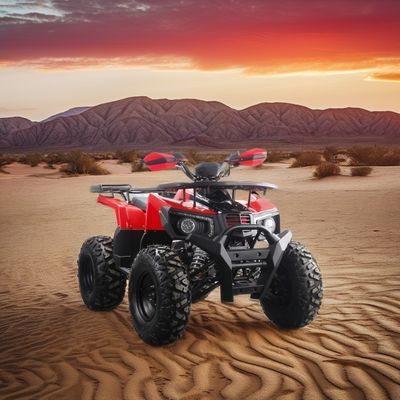 大人のためのパワフルな200ccガスのATV 最大トルク40-60Nm 最大速度75km/h