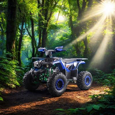 大人 子供 鉄 2WD 12V 電動 手動 チェーン ドライブ 逆転 125cc 自動 ATV クワッド