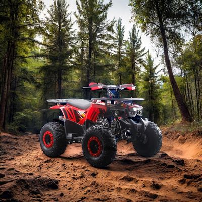 大人 子供 鉄 2WD 12V 電動 手動 チェーン ドライブ 逆転 125cc 自動 ATV クワッド