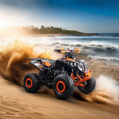 トランスミッションチェーンドライブ 125cc ATV 4ホイラー 強力なエンジンとCE認証