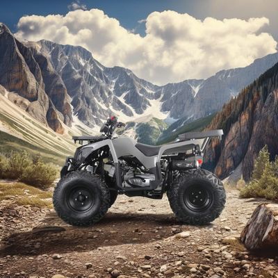 オートマティックエンジンと10インチ鋼輪のオールテレ 200ccガソリン成人ATV