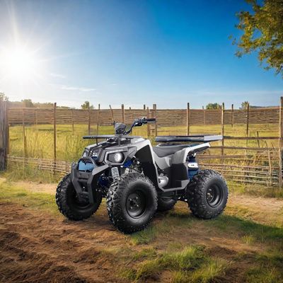 オートマティックエンジンと10インチ鋼輪のオールテレ 200ccガソリン成人ATV
