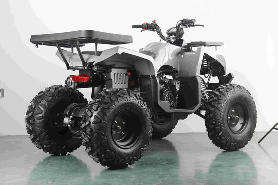 オートマティックエンジンと10インチ鋼輪のオールテレ 200ccガソリン成人ATV