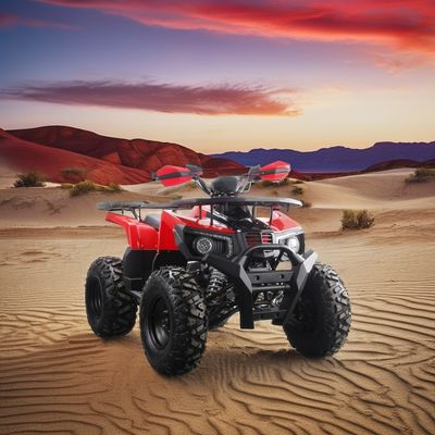 2024ランプロ 10インチ 鉄タイヤ 200cc ATV LEDライト