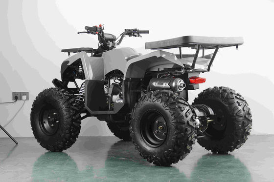 オフロード 10インチタイヤ 200cc 250cc アダルトクワッドATV 自動スタートとチェーンドライブ