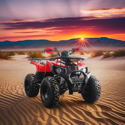 2024 オフロード 10インチタイヤ 大型ATV 150cc 200cc 250cc 成人用農場用四駆 4ストーク 4輪