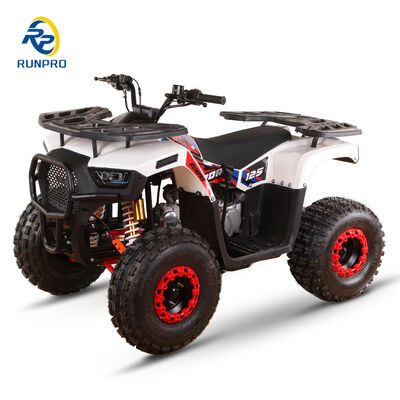 RUNPRO プロフェッショナル 110cc シリウス 125cc ATV クワッドバイク 8インチ 4ホイール 19*7-8/18*9.5-8 2WD