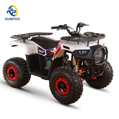 125cc オールテレントATV バイク 60km/h マックススピード ガソリントランスミッション 4x4 UTV 成人用