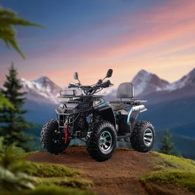 1940×1090×915mm ATV 200CC 250CC GY6 エンジン 四駆 自転車 成人用 体重 100-200kg