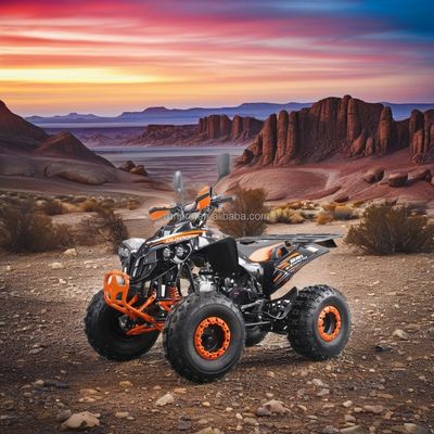 RunPro ATV 125 カスタマイズされた全地形 四輪両四輪車