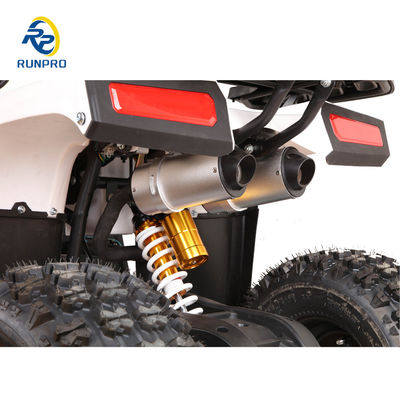 110cc Sirus 125cc ATV クアッドバイク 積載容量100-200kg RUNPRO プロフェッショナル 2024
