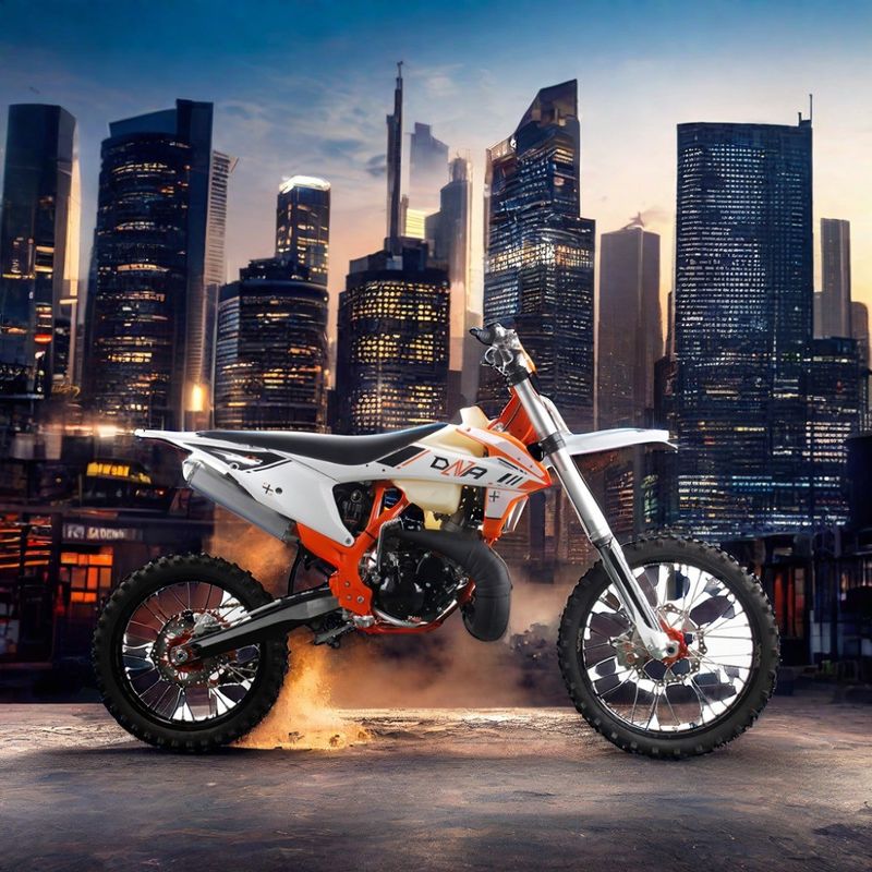 2 ストローク エンジン チェーンドライブ 大人用バイク 250cc オフロードモトクロスバイク