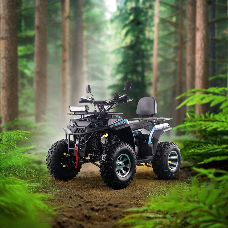 200cc ATV 250cc ATV アダルト ATV クアッドバイク チェーンドライブと1000W電気プルスタート