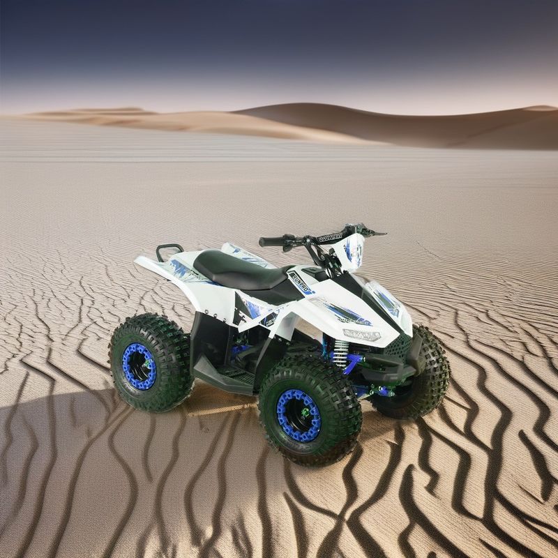 2024 ティーンエイジャー 4x4 1000W 48V 1200W 電動シャフト駆動クワッドバイク 電動クワッドATV