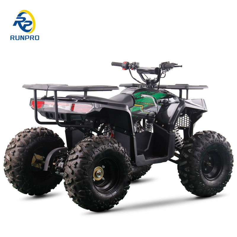 2WD オールテレプレン ダブル 4ホイール ビーチバギー 100-200kg ペイロード容量 完璧
