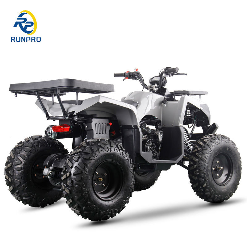 ガソリン/ディーゼル ビーチバギー チェーンドライブ 4 ホイール 4 ストーク 四駆 自転車 200cc/300cc 大人用